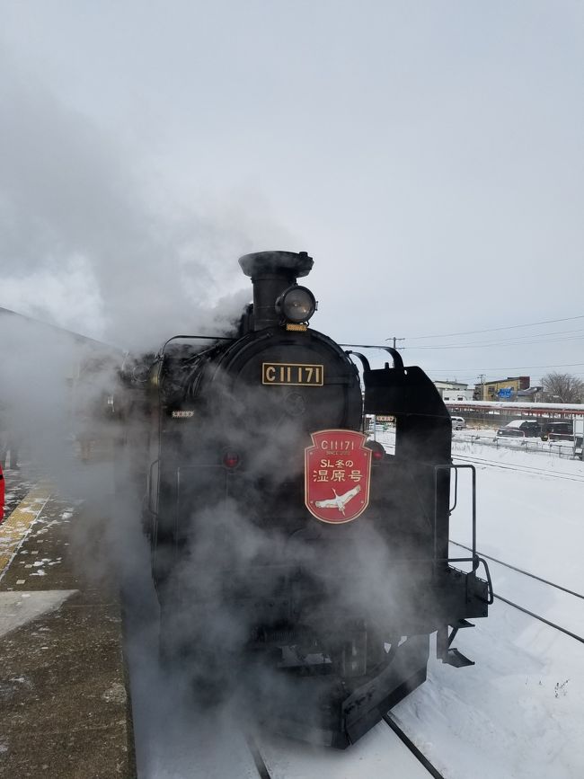 極寒の北海道へ流氷を見に行きました。<br />流氷船に乗るだけでなく、流氷の上を歩いたりSLに乗ったり旭山動物園にも行きたいと思いツアーを探しましたが見つからなかったので個人で計画を立てました。<br /><br />会社帰りに羽田空港のファーストキャビンに前泊しましたが、ちょうど京急空港線が人身事故で運休となり先が思いやられましたが、北海道では天候に恵まれ良い旅行となりました。<br /><br />①は釧路からウトロまでの旅行記です。<br />動いているSLを見るのは人生初！北海道の広大な雪の世界を眺めながらの移動も楽しく、流氷への期待が高まる1日目です。<br /><br />2/18<br />羽田空港→たんちょう釧路空港→釧路駅→(SL冬の湿原号)→標茶駅→(ひがし北海道エクスプレスバス⑩)→硫黄山→オシンコシンの滝→知床第一ホテル→知床流氷フェス<br /><br />2/19<br />流氷ウォーク→(知床エアポートライナー)→網走バスターミナル→ドーミーイン網走→だるまや→流氷砕氷船おーろら号→オホーツク流氷館→網走ビール館<br /><br />2/20<br />網走神社→流氷砕氷船おーろら号→ひがし北海道周遊バス→メルヘンの丘→層雲峡朝陽リゾートホテル→氷瀑まつり<br /><br />2/21<br />旭山動物園→旭川空港→羽田空港