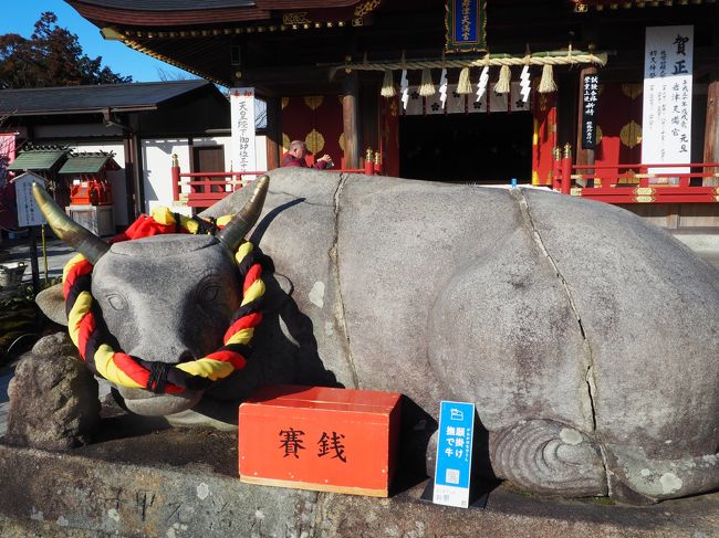 愛知県岡崎市岩津町字東山53<br />2018.1.24参拝<br /><br />その昔　五万石以上の大名だけが　登る事を許されたと言う石段。<br /><br />徳川氏の祖となる松平氏の産土神として　<br />代々崇敬が厚かった天満宮さん<br /><br />本殿・拝殿・桜門など　国指定重要文化財。<br /><br />御祭神には　菅原道真公　学問の神ですねえ。<br />岩津天満宮は氏子を持たない崇敬神社さんだそうです。<br /><br />トヨタ自動車を築いた豊田佐吉翁氏は、自分の病弱を克服するため<br />病気平癒（病除け）の神様として名高い岩津天神に100キロの道のりを<br />歩いて参拝・祈願され、篤い信仰されたそう・・・!<br /><br />伏見稲荷の分霊を頂いた「稲荷社」<br />長寿の神様「白太夫社」<br />芸術の神様「宗像（むなかた）神社」<br />恋のご利益を頂く「産霊（むすび）神社」<br />トイレの神様「厠（かわや）神社」が　祀られています。<br /><br />鳥居をくぐって　すぐに　撫で牛　が　目立ちます!<br />ここには　沢山の牛の　願掛けされた　置物が　奉納されていました。<br /><br /><br /><br />