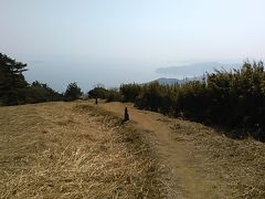 岩戸山・石仏の道・熱海梅園