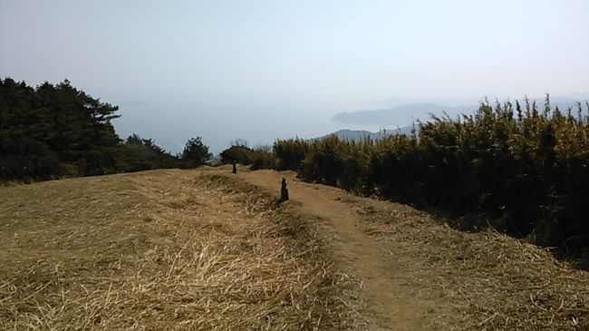 ２ヶ月半ぶりの中高年山岳会。久しぶりだし、私もぎっくり腰あがりなので、緩～いコースです。<br />まずケーブルカーで十国峠に。晴天ですが、富士山はみえず。箱根の山や相模灘、真鶴半島、沼津アルプスが見えます。<br />小１時間で岩戸山。海方面の展望を満喫しながらおやつタイム。<br />20分ほど戻って石仏の道に。石仏が並ぶなかを熱海の街に向かって下る歩きやすい道です。<br />下山後、熱海梅園に寄りました。意外なことに同行の皆さんは初めてとか。満開に近く十分楽しめました。<br />全体としては楽しい一日でしたが、暖かさで花粉全開、くしゃみや鼻づまりで皆さんにご心配をおかけしました。