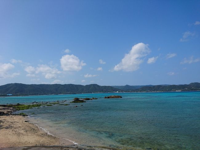 初上陸の奄美大島、３日目です♪<br /><br />早くも本日は2泊3日の最終日。<br /><br />名残惜しいけど、海を見ながら空港へと向かいます。<br /><br />本日のメインは原ハブ屋さん♪