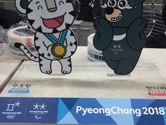 平昌オリンピック・サバイバルラン部門に参加しました・・・というのは嘘で(笑)フィギュアスケート男子シングルの観戦記です