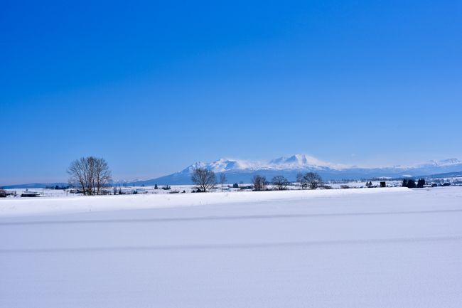 冬の美瑛をレンタカで回ったあと旭川より札幌まで移動してジンギスカンや海鮮等、北海道の味覚を楽しんできました。<br /><br />ANA4781 羽田6:40　旭川8:20<br /><br />ANA72 新千歳17:00　羽田18:40