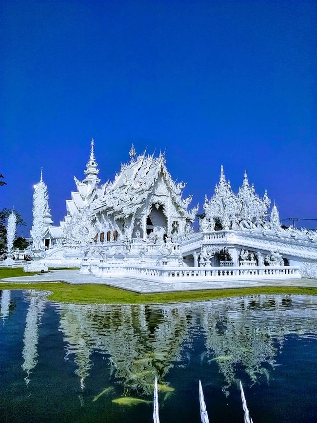 タイは、バンコク・アユタヤとプーケットに行ったことがあるので、３度目はチェンマイに決め、北タイのグルメや黄金の寺院や白い寺院巡り。タイ・ミャンマー・ラオスの３か国の国境が接する所に行って来ました。<br /><br />最終日、帰る時ひょんなことからホテルのスタッフにバイクで空港まで送ってもらいました。タイの人はいい人だ。ホテルのスタッフ感謝！<br /><br />2/9（金）<br />成田（9：15発）→バンコク・ドンムアン（14：05着）<br />エアアジア（ＸＪ601便）　<br />バンコク・ドンムアン（17：05発）→チェンマイ（18：40着）<br />ノックエアー（DD8316便）<br />CHホテル滞在<br />2/10（土）<br />ドイステープ寺院とメオ族の村半日ツアー<br />（チェンマイハッピーツアー）<br />CHホテル滞在<br />2/11（日）<br />チェンライ1日ツアー（＆ゴールーデントライアングル）<br />（チェンマイハッピーツアー）<br />2/12（月）<br />午前中　街歩きブラブラ<br />チェンマイ（16：45発）→バンコク・ドンムアン（20：00着）<br />エアアジア（FD3440便）<br />バンコク・ドンムアン（23：45発）<br />エアアジア（ＸＪ600便）<br />2/13（火）<br />成田（8：00着）