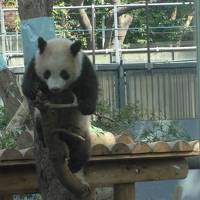 シャンシャンを見に上野動物園へ