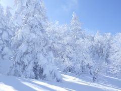 好天で雪たっぷりの志賀高原