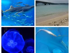 2018マイルで沖縄　日帰りバスツアーで美ら海水族館と古宇利島へ