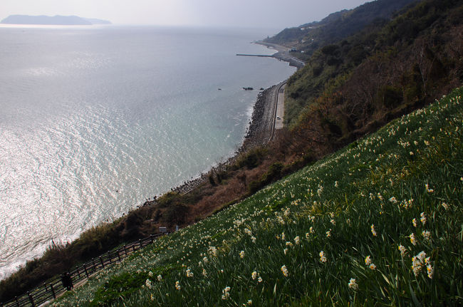 淡路島。<br />ずいぶん前からずっと訪れたいと思っていた場所。<br />ところが、毎回計画倒れになっていた。<br /><br />今年も、いつものように宿だけは早めに確保。<br />いつもなら、直前になって気が乗らなくなり止めるのだが、今年は違った。<br />交通が不便な淡路島で、訪れたい場所を効率よく回る計画を立てたので、行ってみるかと思ったのだ。<br /><br />とは言え、旅は計画通りにはいかないもの。<br />今回も、最後は情けないことになったのだが。。。