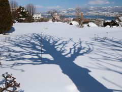 雪の北海道へ、カメラ熟女四人旅④