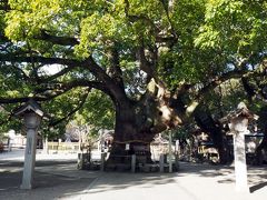 JR四国バースデイきっぷ旅最終日&#12316;大麻比古神社・霊山寺編&#12316;