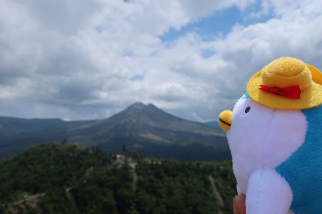 お初バリ島ウブド一人旅2日目前編