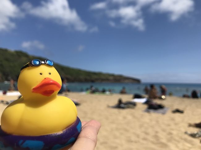 約1年半前に新婚旅行で行ったハワイにまた行きたくて2回目のハワイ!<br />3月14日~22日まで7泊9日の旅!<br /><br />新婚旅行の時より2日長く滞在♪<br />1回目のハワイ旅行記は途中までしか書かなかったけど、<br />今回は個人手配で記録に残しておきたいので頑張って旅行記書こうと思います(^^)<br /><br />すべて2名分<br />★国内線航空券<br /> ANAマイル特典航空券<br /> 松山~羽田往復<br /><br />★国際線航空券<br /> 往路はANA、復路はユナイテッド航空。<br /> 成田~ホノルル往復<br /><br />★羽田~成田間リムジンバス<br /> 片道ひとり3,100円<br /> 成田行きは予約、羽田行きは予約不可。<br /><br />★ホテル<br /> シェラトンプリンセスカイウラニ7泊<br /> 楽天トラベルでキャンセル不可のプランを予約。<br /> 別途リゾートフィーと駐車代。<br /><br />★Hertzレンタカー<br /> 100周年キャンペーンをしていて20%オフで、<br /> 1週間$250くらいで借りることが出来ました。<br /> パッケージプランで予約していないので、<br /> 追加運転手と燃料満タン返しが付いているのか<br /> 現地で確認しないといけない…。<br /><br />★フォートラグローバルWiFi<br /> ハワイ4G-LTEプラン約4,000円<br /> 成田空港受取・返却<br /><br />★海外旅行保険<br /> au損害のブロンズプラン約6,000円。<br /> 新婚旅行ではJTBで進められたプランに入っていて約20,000円していました。<br /> クレジットカードの保険だけでは治療等が無かったので念のため加入しました。<br /> PCで簡単に申し込みが出来ました。<br /><br /><br />前回はスーツケースレンタル(2個で約12,000円)しましたが、<br />2回目の海外旅行だし今後も旅行していくと見越して<br />スーツケース総外寸157cmを2個購入(^^♪<br /><br />長時間座っているとお尻が痛くなるので、楽天でヨックレストも購入。<br />無印良品でネックレストも購入。<br />エコノミーでどれだけ楽になるかのレポもしたいです。<br /><br /><br />☆旅程計画☆<br />1日目:ワイケレプレミアムアウトレット・アラモアナセンター<br />2日目:カイルア散策<br />3日目:カカアコ・ダウンタウン散策<br />4日目:KCC・ダイアモンドヘッド<br />5日目:ハレイワ散策<br />6日目:ハナウマ湾<br />7日目:Free<br />8日目:帰路<br /><br />前回のハワイでは予定を詰め詰めにしてしまったので、<br />今回はゆっくり周れるように行先だけ決めて、食事は決めずに行きます!<br /><br /><br />実際と予定は変わるかもしれませんが、<br />7泊9日のハワイ旅行楽しみです(^^)/☆☆☆