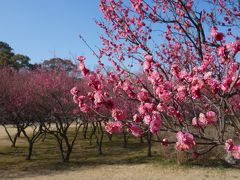 春が来た，春が来た，どこに来た。大高緑地に春が来た。