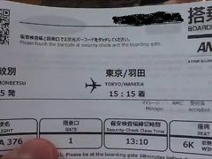 大手航空会社なのに超激安!!片道7990円で1泊2日の東京ステイ!!
