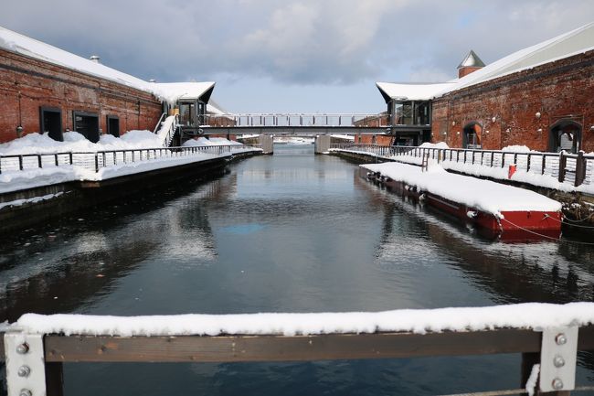 楽しい雪の北海道も、もう最終日<br />あ～ん、もっと遊びたいよ～<br />でも、主婦だもん<br />家で夫が待っている（我が夫は妻が旅に出ると喜んでるけど）、洗濯物が溜まってる、埃が溜まってる<br />揚げ前据え膳も今日でおしまいで～す<br /><br />朝はもちろんお刺身から～<br />お腹いっぱい、ホテルランクアップしてよかったね～<br />そだねー<br />他の食事はかなり節約したけどね、最後のお昼も抜いたし(笑)<br /><br />今度は夫も連れてきてあげよう<br />朝からホテル朝食で酒盛り間違いなし(*^-^*)<br /><br />函館朝市には行けなかったけど、ホテルでゆっくり「朝一海鮮」楽しみました(笑)<br />思い出いっぱい持って無事帰国・・あ、帰国じゃないか、セントレア到着<br />誰も雪で転ばず、体調も崩さず、いっぱい写真撮っていっぱい笑って、私にとっては大満足の旅でした<br />ベテランカメラ女子のお姉さま方の写真、どんなんかな～楽しみです<br />私は一眼レフで約300枚、iPhoneで400枚<br /><br />その中での私のお気に入り、イチ押し写真は・・・<br />旅行記③と④の表紙にした、スーパー北斗の森駅でのホームと、函館での雪の上の木の影<br />これは私しか撮ってないから～(笑)<br />他のはお姉さま方たちの写真と比べ物にならないからね(^-^;<br /><br />今回の旅、予想外の雪にビックリでしたが<br />人生の先輩、カメラの先輩との四人旅、すご～くすご～く良い旅でした<br />またご一緒させてもらいたいです～(*^^)v<br />よろしく～<br /><br />