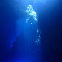2017年GWロタ島ダイビング旅行