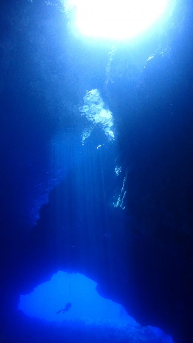 2017年5月3日~7日マリアナ諸島ロタ島へダイビング旅行に行ってきました。<br />チケット手配はすべてマイルです。<br />ロタブルー、ロタクリスタルな海と、グアムでの長時間トランジットを体験してきました。<br /><br />5/3 21:20成田発グアム行き<br />グアムにてトランジット約10時間<br />5/4 12:10グアム発サイパン経由ロタ行き。14:05着。<br />5/5 ダイビング3本<br />5/6 ダイビング3本<br />5/7 14:00 ロタ発グアム経由成田行き。途中グアムで14時間ぐらいのトランジット……<br />5/8 早朝成田に到着。<br /><br />ロタの海は文句なしに透き通っていて、素敵でした。<br />ずっと浮いていたい。<br />海と光にいっぱいエネルギーをもらった旅でした。