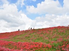 愛知県を楽しもう♪（ ごんぎつねの里で彼岸花鑑賞 編 ）