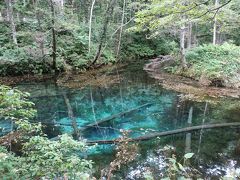 2017年9月：道東ロングドライブ：神の子池→釧路湿原→根室中標津空港へ