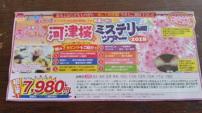 　2018年3月5日（月）第一観光の日帰りバスツアー「河津桜ミステリーツアー」に参加しました。7980円でランチと、入館料が含まれています。主な日程は下の通りです。<br />　博多8:00→小倉9:20→とある場所（文化・明治維新の面影を残す町並みでお雛様巡り）11:10→とある食事会場12:10～13:10→とある神社<br />（○○発祥と言われる○○鶏の顕彰碑がある神社へ参拝）13:50～14:20→とある資料館（漂泊の○○といわれた人物の足跡を見学）14:35～15:15→とある公園（海が見える花の園で河津桜鑑賞）15:25～15:55→<br />とある道の駅でお買い物16:00～16:30→小倉18:30→博多19:45