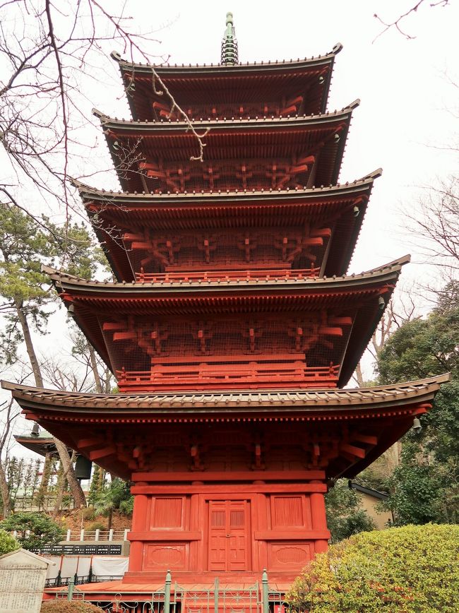 法華経寺（ほけきょうじ）は、千葉県市川市中山二丁目にある日蓮宗大本山の寺院である。鎌倉時代の文応元年（1260年）創立。中山法華経寺とも呼ばれる。山号は正中山。日蓮の説法と安息の地であり、境内の鬼子母神も広く信仰を集めている。いわゆる中山三法類（親師法縁、達師法縁、堺法縁）の縁頭寺である。<br /><br />日蓮はその布教活動の中で幾度と無く迫害を受けたが、その際千葉氏に仕えていた富木常忍や太田乗明は管轄していた八幡荘に日蓮を迎え入れ保護した。特に千葉氏の被官であった富木常忍は、日蓮のために若宮の自邸に法華堂を造営し安息の場を提供するとともに、文吏であったため紙筆を提供してその執筆を助けた。当寺に多くの日蓮の遺文が遺されているのはその縁であると言われている。<br /><br />弘安5年(1282年)に日蓮が没した後、常忍は出家し自邸の法華堂を法花寺と改め初代住持・常修院日常となり、日蓮の有力な檀越であった太田乗明の子日高は、父の屋敷を本妙寺とし2代目住持となった。そして八幡庄の領主であり旧主である千葉胤貞の帰依を受け俗別当に迎え、胤貞猶子の日祐を3代目住持とした。日祐は室町幕府との関係を強め、ここを拠点とする中山門流が成立することになった。<br />天文14年（1545年）古河公方足利晴氏より「諸法華宗之頂上」という称号が贈られ「法華経寺」という寺名が誕生し、法花寺と本妙寺の両寺を合わせた一つの寺院になった。<br />境内<br />総門（黒門）  仁王門（赤門）  祖師堂（重要文化財）<br />本院・大客殿  鬼子母神堂  荒行堂  五重塔（重要文化財）<br />日常上人像  銅造釈迦如来坐像（中山大仏）  蒋介石胸像 - <br />刹堂  妙見堂  法華堂（重要文化財）  四足門（重要文化財）<br />宇賀神堂  清正公堂  太田稲荷社  宝殿門  聖教殿<br />（フリー百科事典『ウィキペディア（Wikipedia）』より引用）<br /><br />法華経寺　については・・<br />http://www.travel.smileandhappiness.net/hokekyouji-sights.html<br />http://www.tokyoseikatsu.com/town_tokyo/chiba-sobuline/shimousanakayama/post-194.php<br />