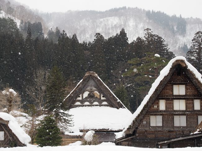 　雪景色の白川郷が見たくて1泊で白川郷へ行ってきました。雪の中の合掌造りと、晴天での合掌造りを見てきました。美味しい料理も堪能してきました。