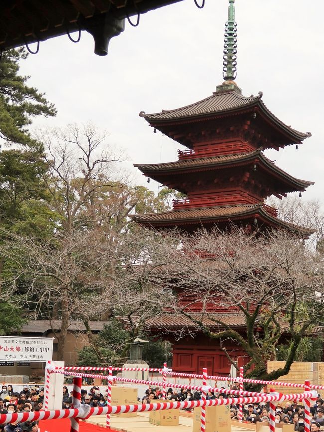 追儺（ついな）とは、大晦日（旧暦12月30日）の宮中の年中行事であり、平安時代の初期頃から行われている鬼払いの儀式。<br />中国の行事がルーツである。日本では宮廷の年中行事となった。その後、追儺は節分のルーツともされている。この節分においては、鬼を豆によって追い払う。「節分祭追儺神事」を行う社寺もある。<br />（フリー百科事典『ウィキペディア（Wikipedia）』より引用）<br /><br />法華経寺（ほけきょうじ）は、千葉県市川市中山二丁目にある日蓮宗大本山の寺院である。鎌倉時代の文応元年（1260年）創立。中山法華経寺とも呼ばれる。山号は正中山。日蓮の説法と安息の地であり、境内の鬼子母神も広く信仰を集めている。いわゆる中山三法類（親師法縁、達師法縁、堺法縁）の縁頭寺である。<br />（フリー百科事典『ウィキペディア（Wikipedia）』より引用）<br /><br />法華経寺　については・・<br />http://www.travel.smileandhappiness.net/hokekyouji-sights.html<br />http://www.tokyoseikatsu.com/town_tokyo/chiba-sobuline/shimousanakayama/post-194.php<br />