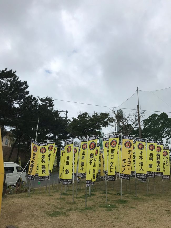 滞在1，2日目はベイスターズキャンプに行きましたが、<br />３，４日目はタイガースキャンプへ……！