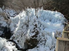 冬の秩父路＜三大氷柱をめぐる旅＞