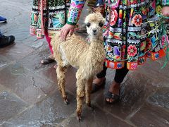 南米周遊：ペルーのクスコに行ってきました。