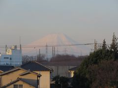 久しぶりに見られた素晴らしい富士山