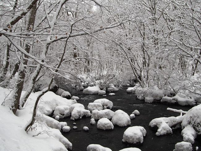 毎年この時期になると、ちょっぴりワクワクする。<br />「さぁ~て雪見旅に出掛けよう!」<br /><br />他の季節より地味になりがちな冬の旅・・・・<br />友人との旅なら、のんびりコタツ旅よりアクティブに!<br />思いっきり雪を堪能する、そんな旅がしてみたい。<br /><br />色々な温泉地・観光地を調べたけれど・・・そんな中から<br />最終的に選んだのが「青森県」への雪見旅。<br />青森なら雪も沢山あるし、秘湯の温泉地も沢山ある。<br /><br />秘湯の温泉地に泊まるプランも考えてみたけれど・・・<br />ネットで見たお宿の冬の写真に心奪われた。<br />この季節しか味わえない華やかで幻想的な雪景色。<br /><br />それを体験する為に「星野リゾート」に泊まって来ました~。<br />今回は2泊3日の旅。星野リゾートに2泊するのは<br />私の中ではちょっぴり(かなり)贅沢な旅なんですが・・・・<br />安いプラン&クーポン利用でどうにか予算内に。<br /><br />1泊目は「青森屋」で、雪のねぶた飾りとお祭り気分を・・・・<br />2泊目は9年ぶりに冬営業を再開した「奥入瀬渓流ホテル」で<br />絶景の雪の奥入瀬を楽しんできました~。もちろん温泉も!<br /><br />観光客の少ない真冬の時期だからこそ、お宿も沢山の工夫を<br />していて・・・ホントに楽しく&忙しい~雪見の旅を満喫しました。<br />きっと皆さんも真冬の青森に出掛けたくなりますよ♪<br /><br />1泊目 三沢の街観光&星野リゾート青森屋滞在<br />https://4travel.jp/travelogue/11328082<br />https://4travel.jp/travelogue/11328540<br />2泊目 八戸観光&星野リゾート奥入瀬渓流ホテル滞在<br />https://4travel.jp/travelogue/11331508<br />3日目 奥入瀬渓流観光&弘前観光