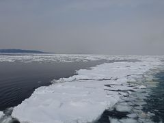 さっぽろ雪まつりと北海道７つの冬物語④　網走流氷を見てきました