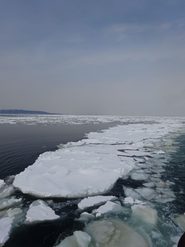 北海道旅行最終日、本日の予定は網走港から流氷砕氷船『オーロラ』に乗船して、流氷を見に行きます。<br />帰りは釧路空港からの最終便なので、時間に余裕があり、網走刑務所も見学に行けそうです。超ラッキー!(^^)!