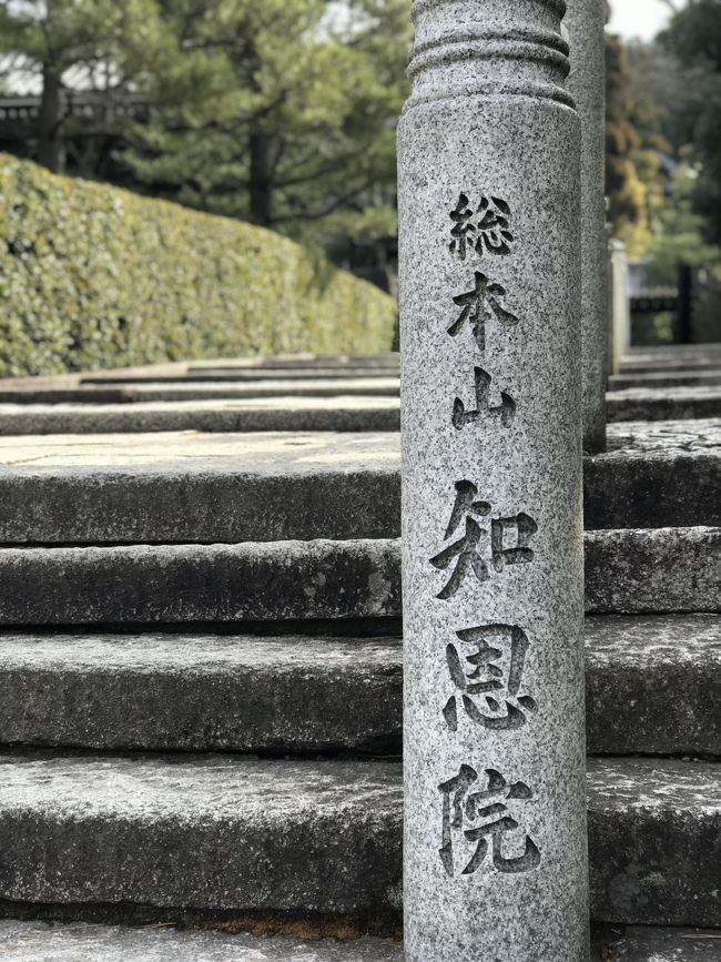 ご訪問ありがとうございます。<br /><br />京都・東山のひとり旅です。<br />知恩院から高台寺、八坂神社のお散歩日記です。<br />写真をいっぱい撮ってきたので長くなりますが、ご覧頂けると嬉しいです。