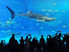 初めての沖縄旅行（その１）《海洋博公園・沖縄美ら海水族館編》