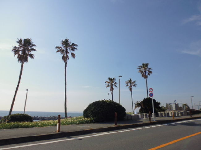 京急の三浦海岸駅から少し横須賀寄りの久里浜まで自転車でぷらぷらです。<br />三浦海岸から久里浜に行く途中はメインの１３４号線を行くのが車では定番ですが、今回は行きは海岸沿いの道を進み、帰りに１３４号線で戻ってきました。<br />坂がすごくてきついね。