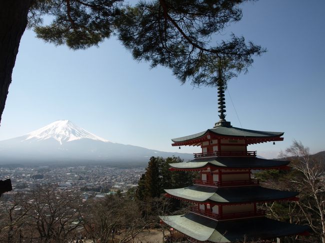 外人さんご用達の神社、季節外れなのにやはり多かった。行きは害人さんにも遭遇。駅で線路に降りたため列車が遅れたり、音楽をイヤホンなしで聞いている人はいるなどマナーの悪い人が増えてきた最近の日本です。