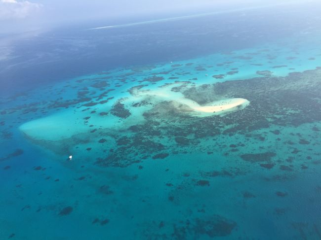 グレートバリアリーフに行きたい!という友人発信の旅行です。<br /><br />海も山も星空も鉄道も見所たくさんのケアンズ、満喫してきました。