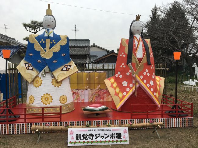 奈良県・高取町はかって薬種業で栄えた町でかっての街道筋が土佐街道です。その街道筋の家々が3月中は自宅に有るお雛様を展示しています。<br />雛祭りの一日街道筋に並ぶお雛様と古い建物を眺めてほっこりとしてきました。<br />近くの壺阪寺は日本霊験記の「お里沢市」で有名です、菩提所が有りました。<br />お昼には薬で栄えた町ならではの薬膳料理をいただきました。