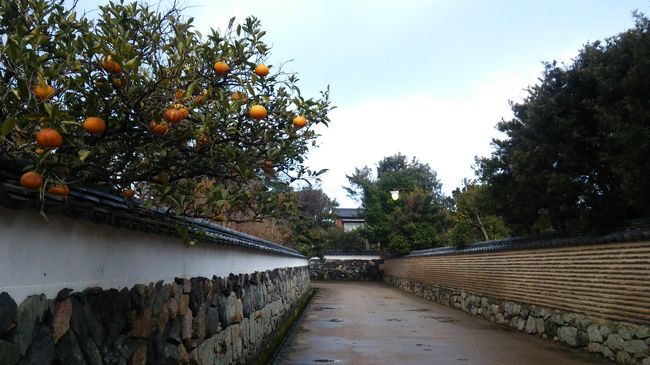 山口旅行２日目午後は萩を散策しました。<br />午後からも雨が降っていたのですが、毛利家墓所となっている東光寺は<br />「聖域」「別世界」「あの世」といった言葉がぴったりの雰囲気でした。<br />行くまではこんなにすごい場所だとは思ってなかった～！！<br /><br />その後オープンしたばかりの明倫学舎を見学しました。<br />１日目と２日目午前に回ったので、少し萩の歴史の下地ができていたためか<br />知っていること、見てきたことが多くて正直あまり印象に残りませんでした。<br />こちらに先に行って、広く浅く知識をつけてから他をまわった方がおもしろいのかなぁ…？<br /><br />その間に雨は少し止み萩の街中を散策。<br />なまこ壁や鍵曲の道が雰囲気あってフォトジェニックでした。<br />あいにくカメラの才能がないので、普通の写真しか撮れませんが…<br />現物はもっと雰囲気があっていいですよ！<br /><br />下関に移動してふぐの夕飯。<br />てっちりにふぐ刺しに雑炊と、大満喫＆大満足の夕食となりました。