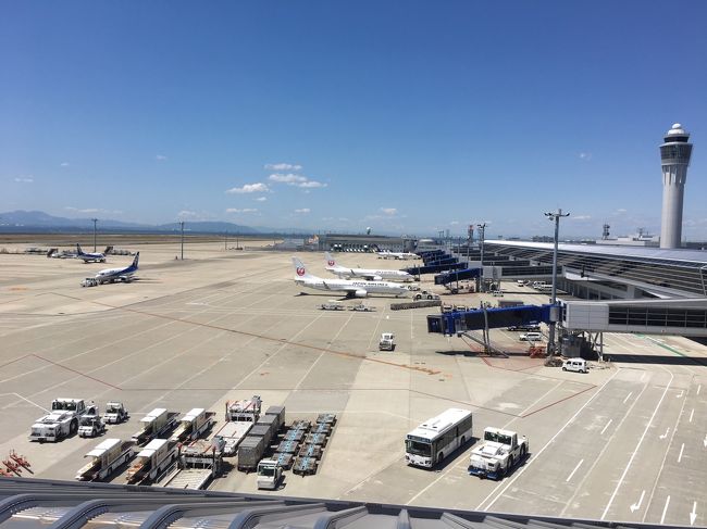 旅行記というほどの内容ではありませんが、往復航空機を利用して愛知・静岡まで足を運んだので、こちらに備忘録として残させていただきます。<br />交通手段は、通常なら東京から浜松まで新幹線で移動するのですが、せっかくなので往復航空機を利用しました。<br />過去にエコパスタジアムには訪れたことはありましたが、今回ヤマハスタジアムを初訪問しました。<br /><br />＊フライトスケジュール<br /><br />6/3 NH337便 NRT(17:05)→NGO(18:15)<br />6/5 NH340便 NGO(14:25)→NRT(15:40)<br /><br />＊滞在先ホテル<br /><br />6/3～6/4　1泊　ハミルトンホテル-ブラック-