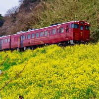 みかんの国で春を先取りweekend@瀬戸内リトリート青凪