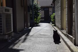 アジフライ定食の旅①　とオフ会と昼飲みなど　2018.02