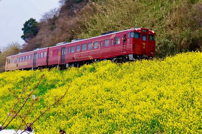 なにげに瀬戸内海ファンの私たち。<br />今年はみかんの国に行って参りました~~<br /><br />お宿は、大好き安藤忠雄さん建築の瀬戸内リトリート青凪。<br />冬値段の最後の、お得なプランと今月いっぱいで失効のダイヤモンドステータスをうまくミックス。<br />納得価格です(^^)<br /><br />ホテルとして開業する２年前までは、大王製紙のゲストハウスと美術館でした。<br />どことなく、コンセプトが尾道のベラビスタに似ているような、似てないような。<br />ま、どっちも大好きですけど。<br /><br />ますます、瀬戸内フリーク度が増しました&#128522;