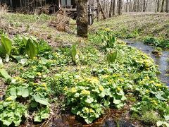 春の北海道1日目　帯広～太四郎の森