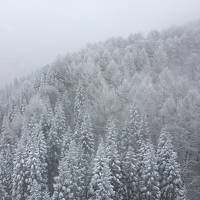 わざわざエンブラエルに乗って行く1泊2日山形　①初日、吹雪で樹氷観賞どころではなかった蔵王とちょっとだけ山形市内散策