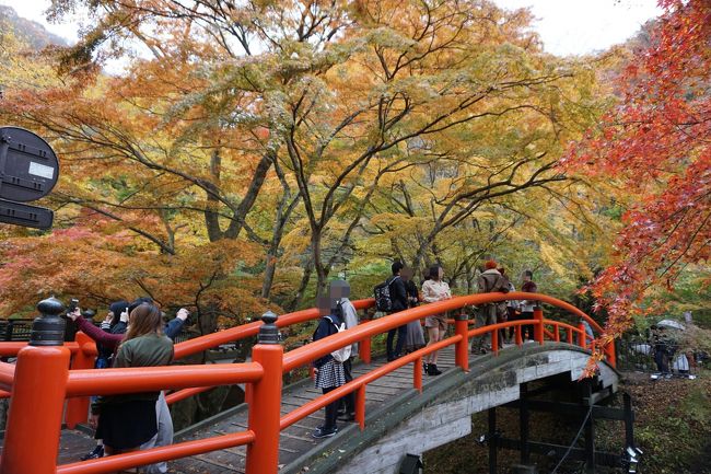 家族旅行で伊香保温泉まで。<br />紅葉が綺麗な季節もあって人手も多い時期でしたが、困るほどの混雑ではありませんでした。<br />都心からも近く、日本の秋を感じられる空間で、外国人にはたまらない?<br /><br />うどんは美味しいけど少し割高かも。旅行ならではです。