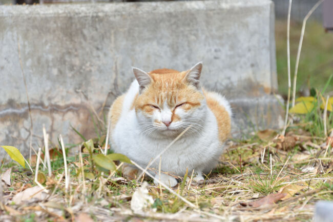 平成30年2月25日に岡山県日生で開催された牡蠣祭の日帰り旅です。<br />