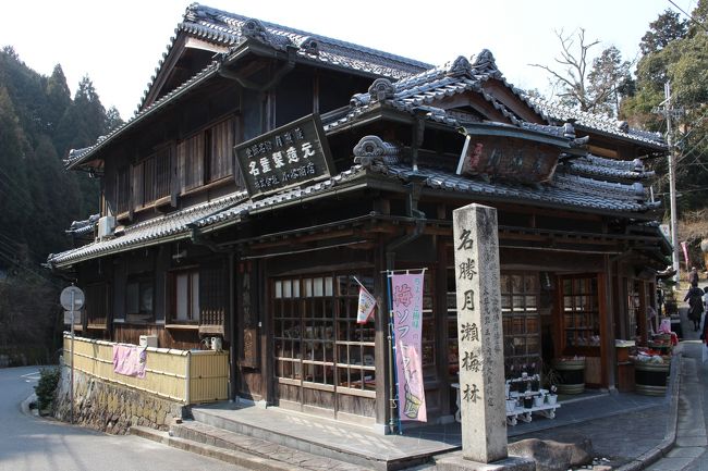 昨年秋~北海道モニターツアーに参加したところ、旅行会社から次々とダイレクトメールが送られてくる今日この頃です。<br />とある日~月ヶ瀬梅林を訪れた後、アルコール類含む7種のドリンク飲み放題ランチ&土産付のプランに目が留まり・・参加することにしました。<br />月ヶ瀬周辺は梅の見頃、大渋滞すると聞いているのにバスツアーって大丈夫かなーと・・その答えは、すぐわかったのでした・・